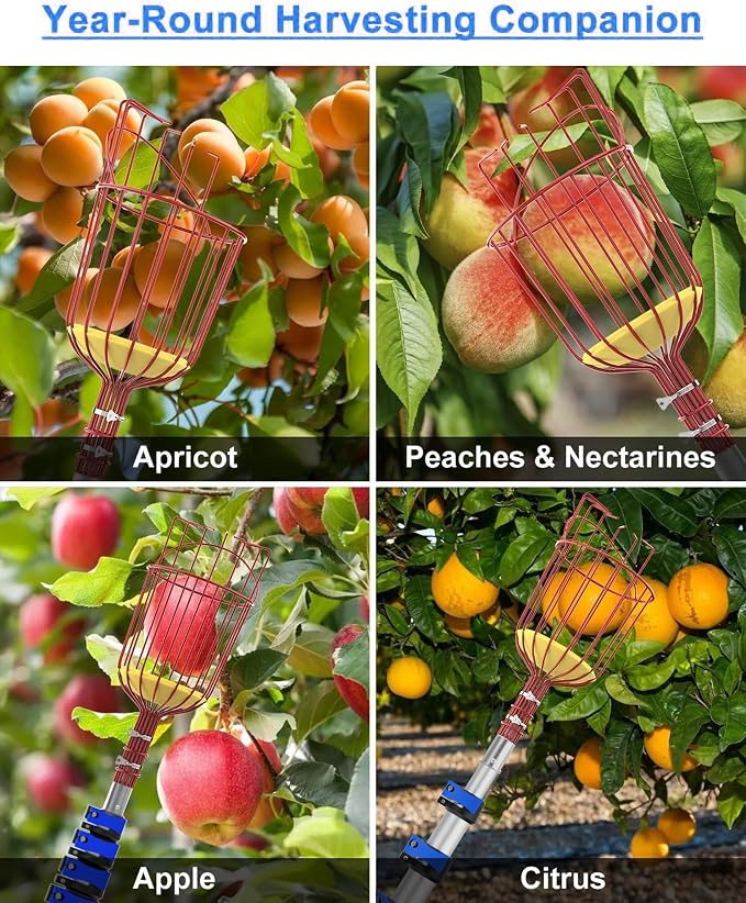 AgiiMan 28 Reach Fruit Picker with Telescopic Extension Pole and 20L Bucket, 5 to 20 FT Fruit Picker Pole Lightweight and Sturdy Aluminum Telescopic Pole, Easy to Assemble Fruit Picking Basket
