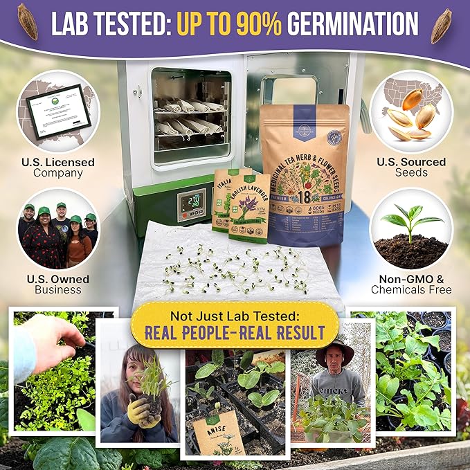 18 Medicinal Tea Herb & Flower Seeds Variety Pack - 6,100+ Non-GMO Heirloom Flower Seeds for Outdoor and Indoor Home Gardening, Including Anise, Borage, Catnip, Chamomile, Dandelion, Lavender, Sage