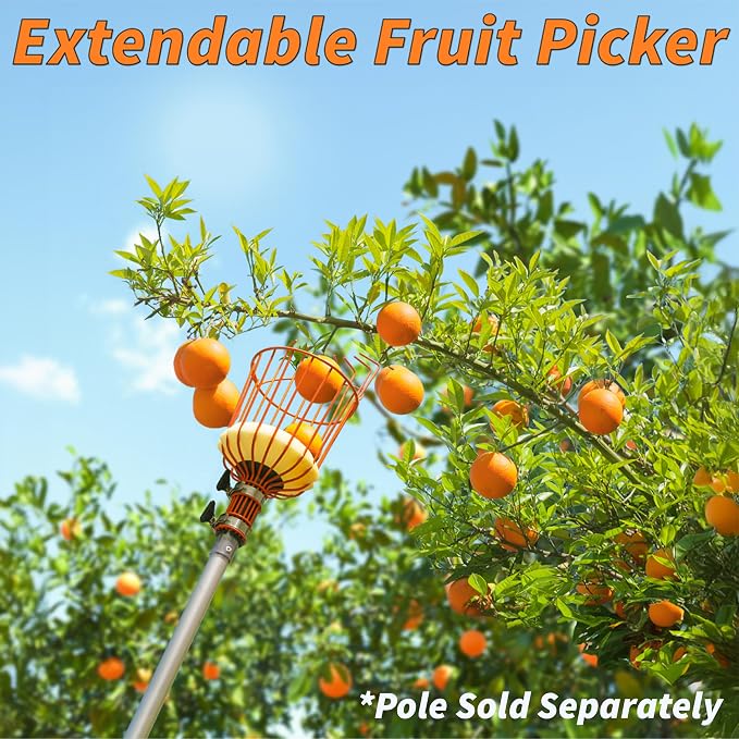 EXTEND-A-REACH Fruit Picker Basket Only // Twist-On Apple Picker Basket Only Fits Standard Acme Extension Pole // Fruit Tree Picker Tool for Orange Mango Avocado Lemon Pear (Pole Sold Separately)