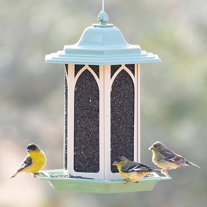 Perky-Pet Pistachio Gazebo Feeder - Wild Bird Feeder - GAZ01, Pistachio - Holds up to 3.5 lb Seeds - Easy to Fill, Easy to Clean, Rust Resistant Finish