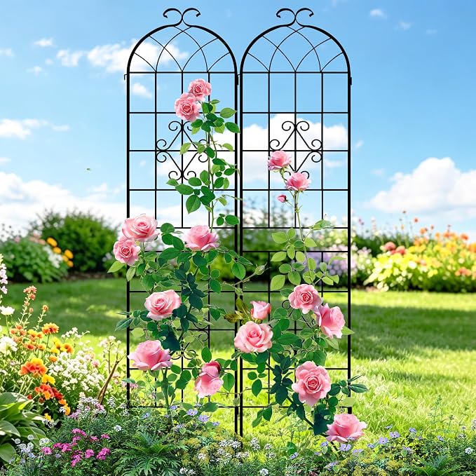 LZRS 2 Pack 78.7x20in Rustic Iron Arch Decoration Garden Trellis with Black Metal Coating – Perfect for Supporting Climbing Plants Outdoor, Roses, Vines, Flowers, and Vegetables.