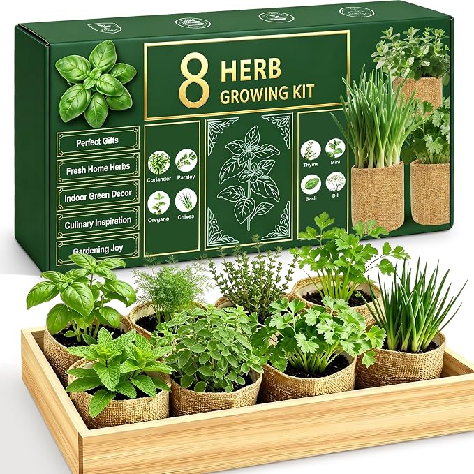 Indoor Herb Garden Kit, Culinary Herb Starter Kit with Seeds & Tools for Beginners, Ultimate Birthday Gifts for Women Men Mom Dad, House Warming Gifts for New Home, Kitchen Decor, Father Day Gifts