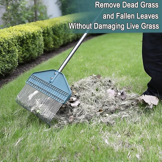 YEELOR Thatch Rake with 66 Inch Adjustable Handle, 17 Inch Wide Durable Dethatcher Rake, Ideal for Garden, Yard and Lawn, Used for Removing Thatch, Pine Needles, Burrs and Acorns