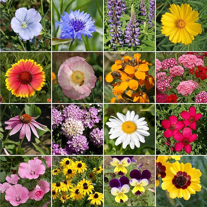 Ferry Morse Wildflower Seeds - All Purpose Sun-Shade, Non-GMO, Sun & Shade Mix - 1 lb - Other