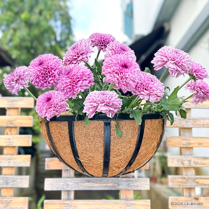LaLaGreen 14" (10 Pack, Half Round) Coco Liners for Wall Planter–Bulk Medium Coconut Husk Replacement for Outdoor Window Box, Hanging Basket, Holder-Also Available in 10/12/16’’ & Different Shapes