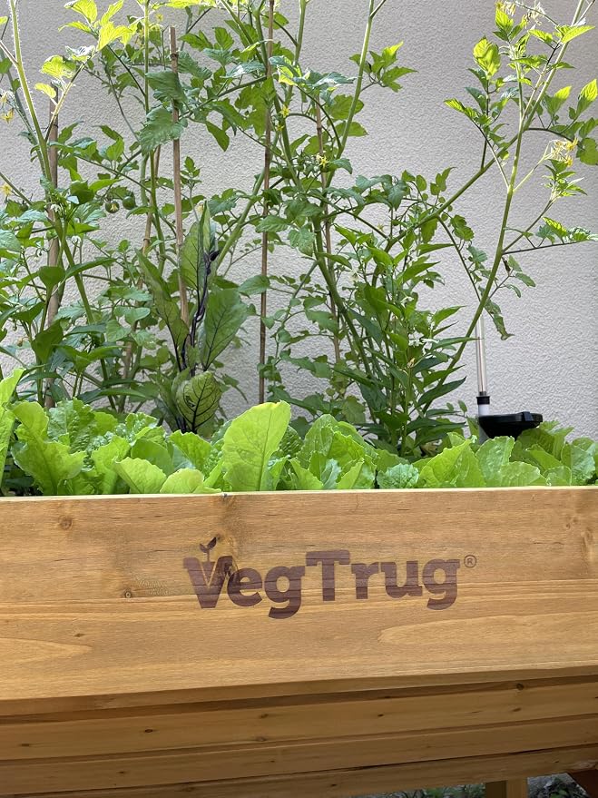 VegTrug® Self Watering Kit for Wall Hugger Medium 1.8m
