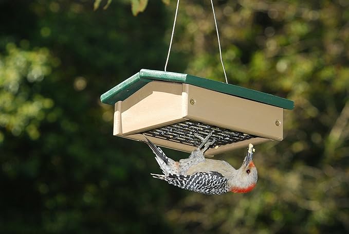 Songbird Essentials Upside Down Suet Feeder-Driftwood