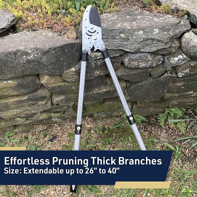 Tree Trimmer Loppers - Double Ratcheting Anvil Lopper - Extendable 26" - 40" Long Handles - Loppers for Tree Trimming Heavy Duty by Kings County Tools