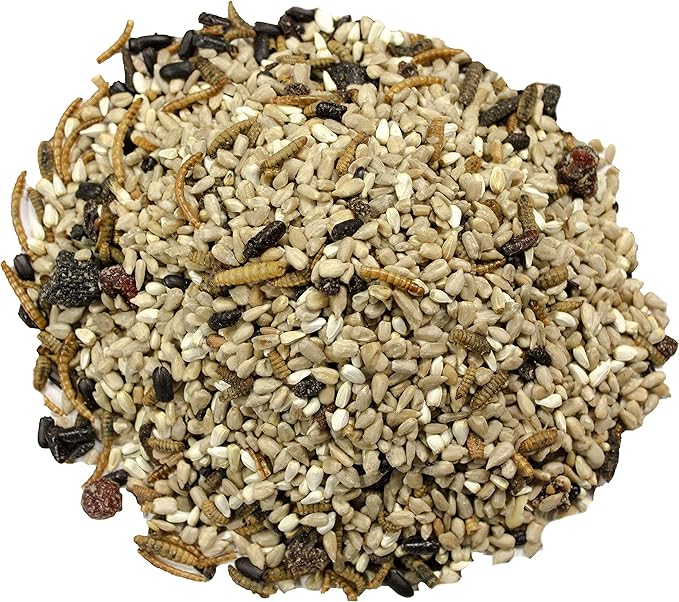 Wild Delight 099127 Bugs N' Berries Wild Bird Food, 4.5 Lb (Pack of 2)