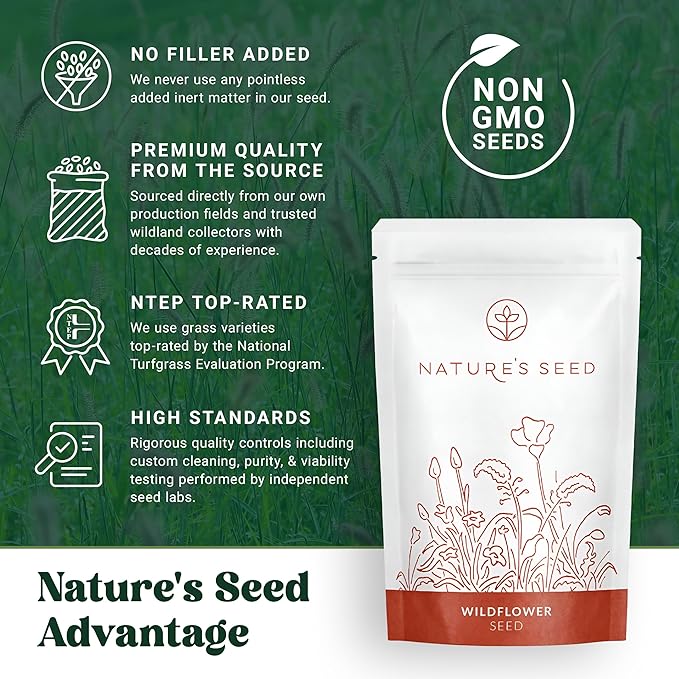 Nature’s Seed Purple Needlegrass, Native Perennial Wildflower Flower Seeds for Planting, Drought Tolerant, 0.25 lbs