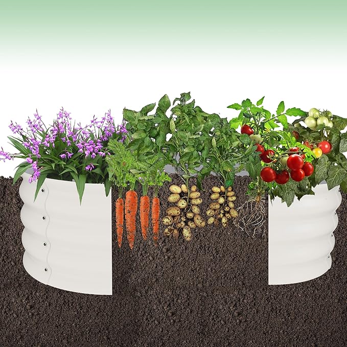 2 Pack Galvanized Raised Garden Bed – 4x4x1 ft Raised Beds-Coated Metal Planter Box with Floral Edge, Easy Assembly Rust-Resistant Outdoor/Indoor Garden Box for Vegetables, Flowers, Herbs, White