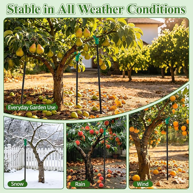 Adjustable Tree Support Pole with Crutch, Heavy Duty Fruit Tree Branch Support to Prevent Breakage, Adjustable 34–74” (2 Pack)
