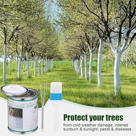Kathfly 1 Pack Tree Paint Kit Tree Whitewash Trees Trunk Protection with Tinplate Container Whisk Brush for Fruit Nut Ornamental Trees Sapling Garden Yard Orchard (7" Whisk,Large White Brush)