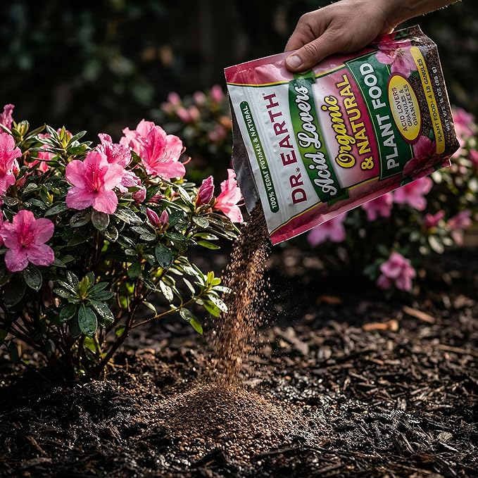 Acid Lovers Organic Granules Plant Food – 4 lb Bags – Azalea and Hydrangea – Gardenia Fertilizer and Japanese Maple for Acidic Soil – 3 Pack