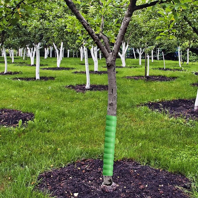 Wesiti 20 Pcs Tree Trunk Protector Plastic Spiral Trunk Tree Wrap Guard Bark Tube Protectors to Protect Bark Saplings from Deer Cats Rodents Rabbit Mowers (Green)