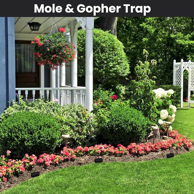 Qualirey 2 Pack Black Hole Gopher Trap 6.7 Inch Tunnel Mole Traps Gopher Killer Outdoor Vole Traps Rodent Rat Stations Reusable for Lawn Yard Garden