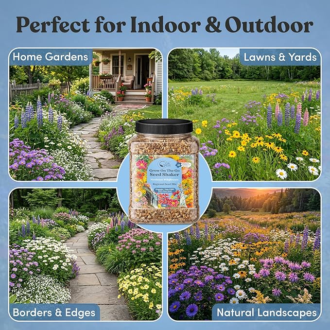 Regional Wildflower - Northeast USA Wildflowers - 100% Pure Seed - Organic, Non-GMO - 21 Wildflower Variety Seeds of Annual & Perennial, 1 LB Tub