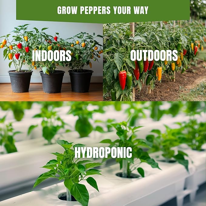 Sweet & Hot Pepper Seeds Variety Pack – 15 Varieties Mixed Heat Garden Collection, Jalapeno, Habanero, Cayenne, Serrano & Bell Types, 750+ Non-GMO Heirloom Seeds for Indoor & Outdoor Planting