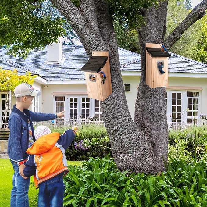 Dreyoo 3 Pack Bluebird Box Houses for Outside,1-1/2'' Entrance Hole Wooden Bird Houses with Metal Guard, Secure Latch,Fledgling Grooves,Air Vents for Bluebird Wren Swallow (Black Roof,Wood Body)