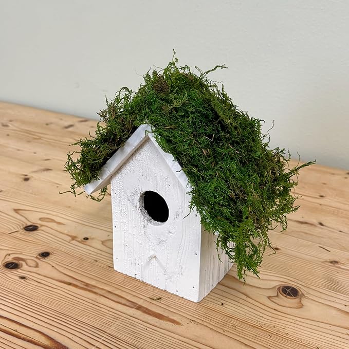 Preserved Sheet Moss - Natural Decorative Moss - Dried Moss for Crafts, Home Decor, Art, Design & DIY Projects - Non-Toxic - Green - Medium