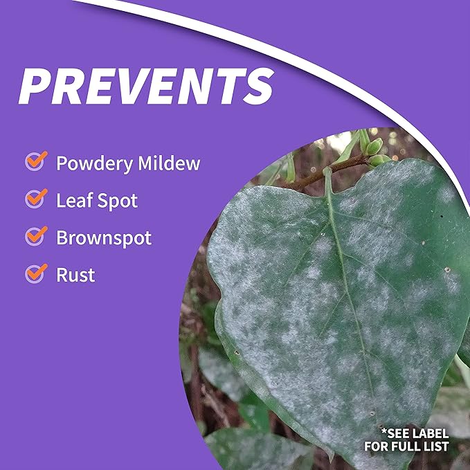 Bonide Fruit Tree & Plant Guard, 32 oz Concentrate, Multi-Purpose Fungicide, Insecticide and Miticide for Home Gardening