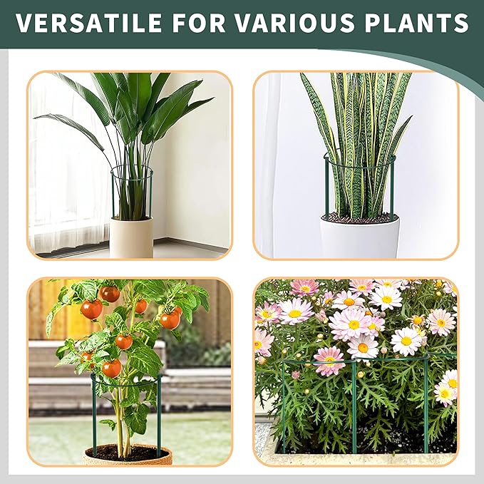 TCBWFY 24"Hx10"D Plant Supports Stakes for Large Heavy Plants,20 Pack Peony Supports,Heavy Duty 4.5mm Wire Peony Cages,Interlock Garden Supports Ring Border Support,Plant Support Cage for Rose Flowers
