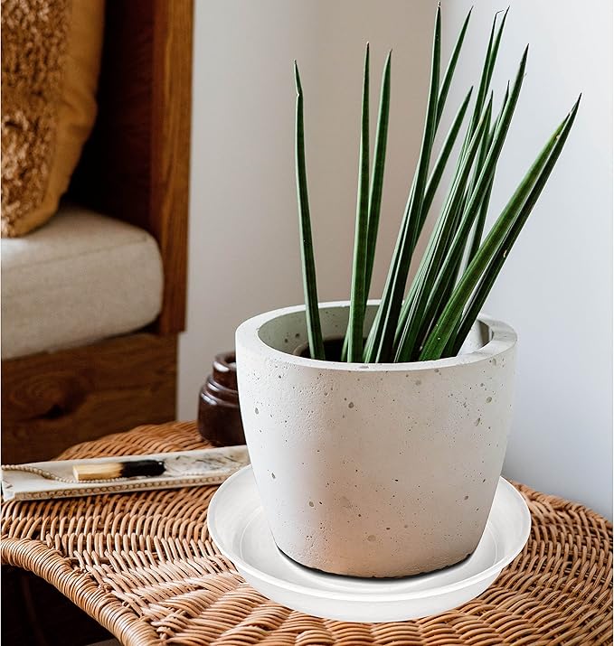 2 Pack of 10 inch Plant Saucer Gray, Heavy Duty Plastic Plant Saucer 10 inch Round, Durable Plant Tray for Pots, Plant Saucers for Indoors, Plant Trays for Planter 9"/10" (10", Clear)
