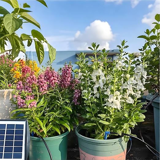 RISINGUP 49FT Solar Drip Irrigation System, Auto Plant Watering Kit with Anti-Siphoning Device 750ml/min Flow with 2200mAh Battery, for 15 Potted Plants Outdoor Garden, Patio, Balcony, Greenhouse