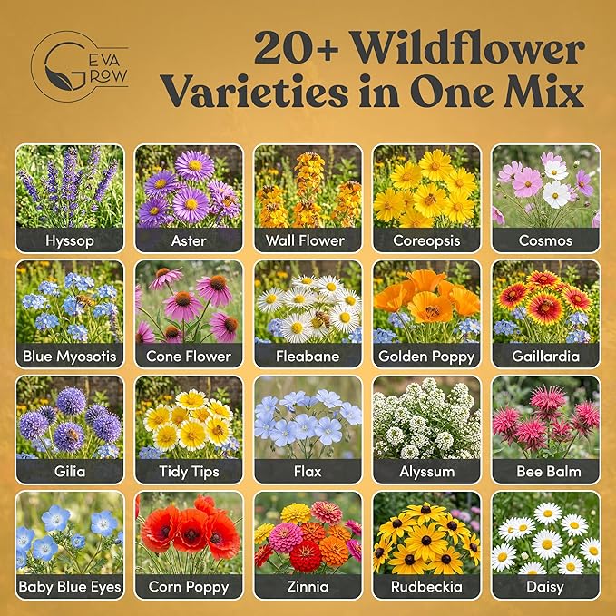 Wildflower Seed Mix 1LB Tub - Save The Bees Seed Mix, by GevaGrow | Bulk 300,000+ Seeds | Pollinator & Bee Attracting Flower Seeds Bulk for Planting in Pots & Outdoor Gardens | 1 Pound Tub