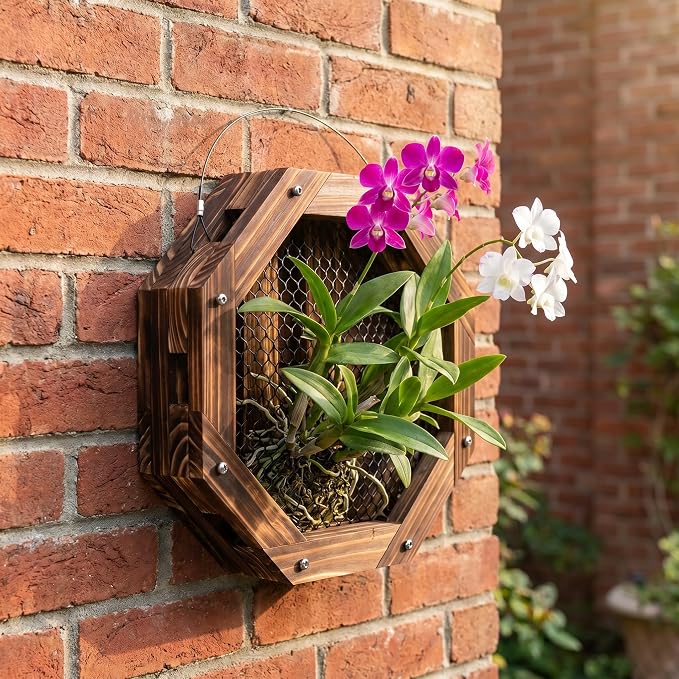 Staghorn Fern Mounting Kit - Wood Wall Planter for Orchids,Herbs & Indoor Plants | Hanging Plant Holder,Basket & Stand for Wall Decor (12.59inch)