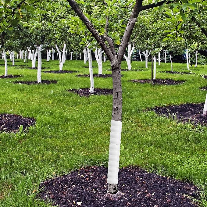 Wesiti 20 Pcs Tree Trunk Protector Plastic Spiral Trunk Tree Wrap Guard Bark Tube Protectors to Protect Bark Saplings from Deer Cats Rodents Rabbit Mowers (White,Green)