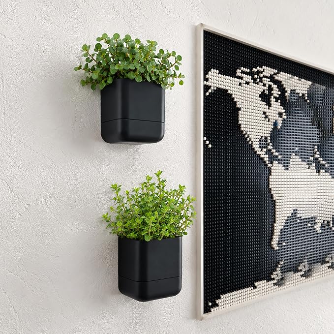 Phoenix Vine 4.5 Inch Wall Mounted Self-Watering Planter Pot for Indoor Houseplants and Herbs | Hanging Planter for Window Sills, Bathroom Walls, Home & Office Décor, Black, Set of 2, 01-B-E-2