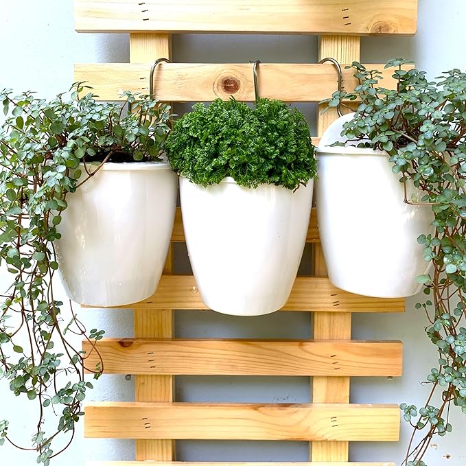 LáLáGreen Wall Planters for Indoor Plants - 10 Pack, 4 Inch Self Watering Planters and Pots, White Wall Mount Planter Plant Holder, Modern Hydroponic Wall Pots Vertical Living Plant Garden Decor