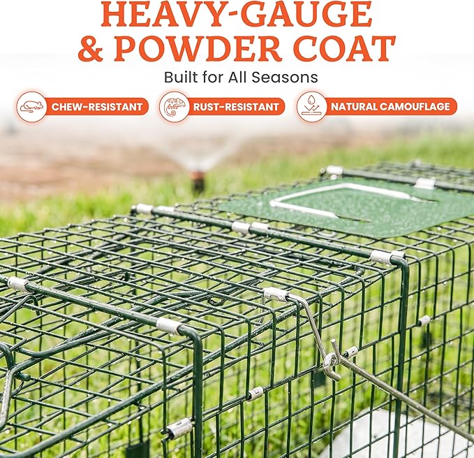 HOMESTEAD 32 Inch Heavy Duty Collapsible Live Animal Trap - Humane Catch and Release Trap for Squirrels, Stray Cats, Raccoons, Rabbits, Foldable Steel Trap, Space-Saving (32 Inch)