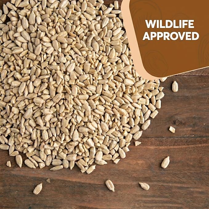 25 LB Medium Sunflower Chips, Shelled Seeds for Birds – Premium Wildlife & Bird Food – Grown in USA - Non-GMO - Medium Chip Sunflower Seeds for Wild Birds and Backyard Feeders