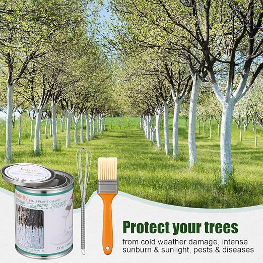 Kathfly 1 Pack Tree Paint Kit Tree Whitewash Trees Trunk Protection with Tinplate Container Whisk Brush for Fruit Nut Ornamental Trees Sapling Garden Yard Orchard (8" Whisk,Regular Classic Brush)