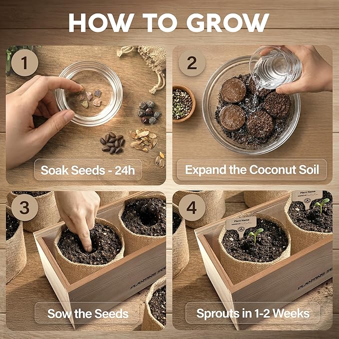 AVERGO Bonsai Tree Kit Deluxe - 5X Unique Japanese Bonzai Trees | Complete Indoor Bonsai Starter Kits from Seeds to Trees – DIY Gardening Gifts for Mother's Day, Women & Men