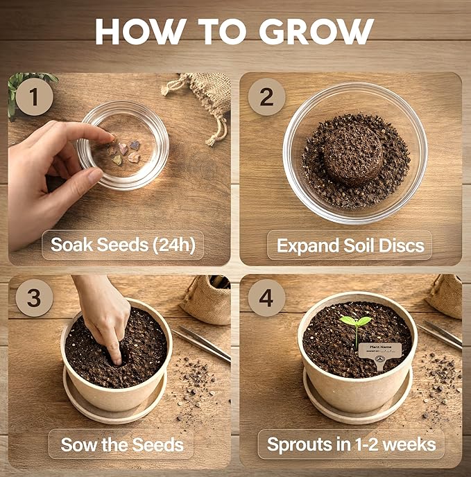 Bonsai Starter Kit – Growing Jacaranda Bonzai Tree | Complete Indoor Tree Kit for Growing Plants with Tools & Planter – Gardening Gifts for Mother, Women & Men