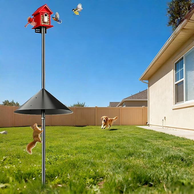 Smart Bird Feeder Pole Stand with Proof Squirrel Baffle - Dia 1 Inch Bird House Pole 79", Feeding Station for Outdoors Heavy Duty, Compatible Post Mount