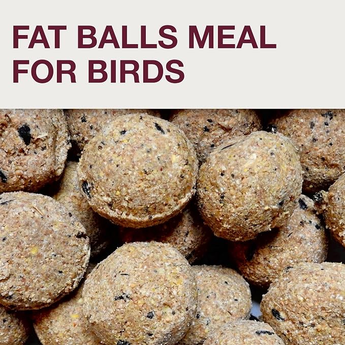 SWISSINNO Bird Feeders - No Mess Fat Ball/Suet Feeder for Outdoors Hanging - Smart Birds Lucerne Spill Proof Wild Cardinal Bird Feeder with Integrated Seed Catcher Tray - Light Grey