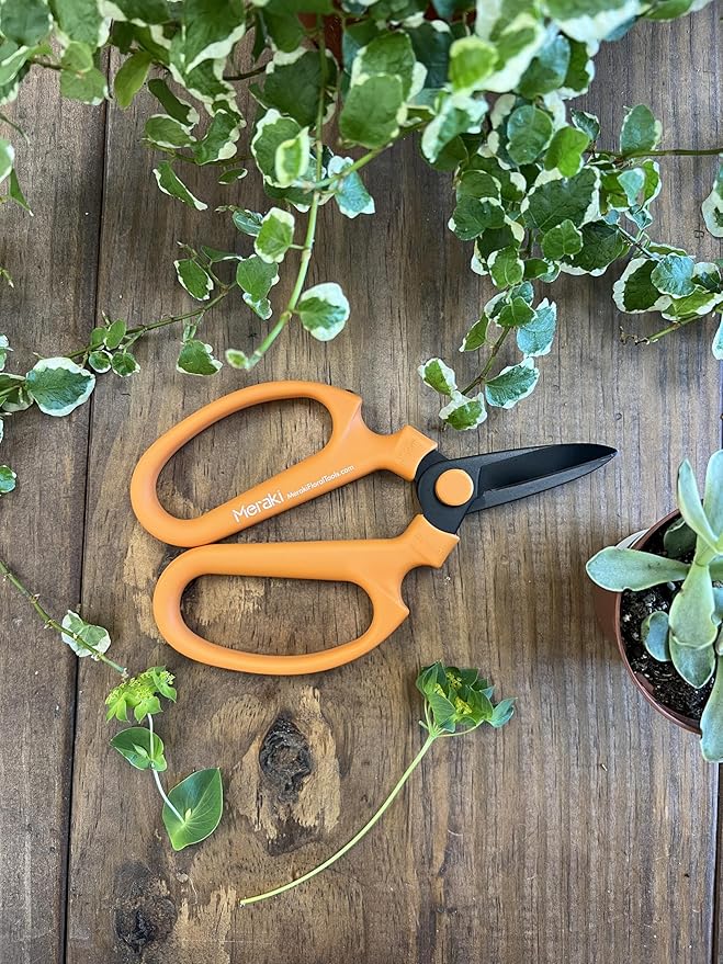 Garden Pruning Shears Scissors Carbon Steel Blades 7.0 In, Ornithogalum - Orange