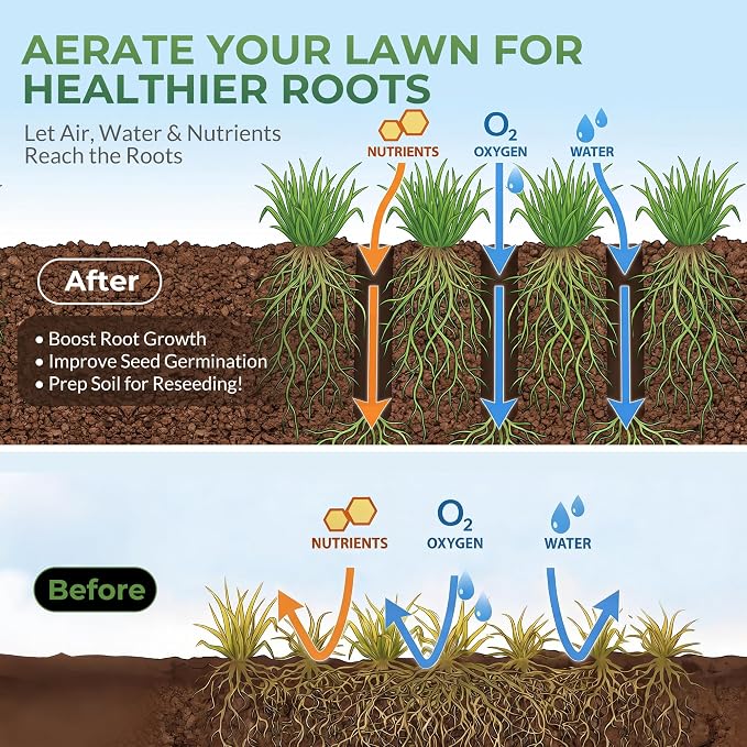 Walensee Four-Row Spike Lawn Aerator,Manual Heavy-Duty Steel Aerator Lawn Tool with 20 Sharp Spikes,Ideal for Small Yards,Lawn Edges,Spot Seeding & Soil Prep,Bare Spots Repair,Gardening Aeration Tool