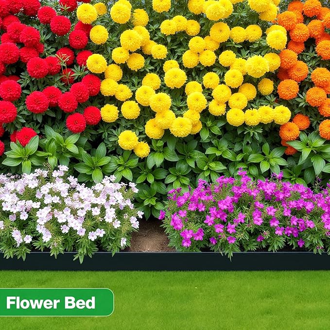 MIXC Garden Edging Border, 33FT 2 Inch Tall Plastic Landscape Edging with 50 U-Shaped Metal Stakes, More Stable and Flexible Tool-Free Lawn Border for Yard, Flower Bed & Landscaping