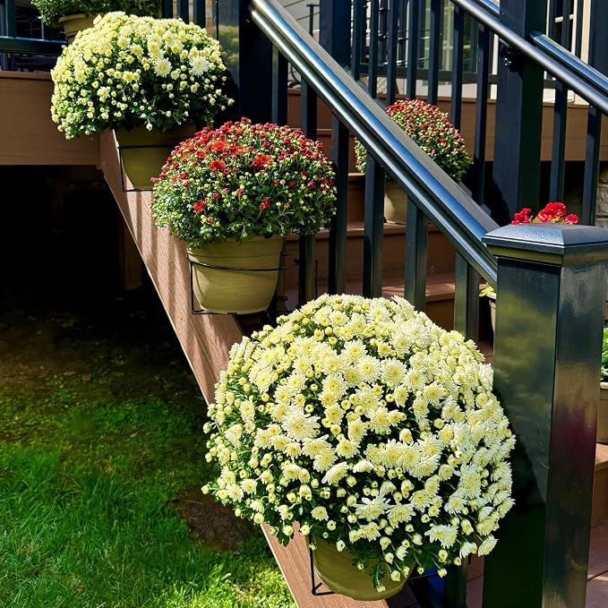 Bloem RailScapes Adjustable Floating Planter Hanger, Fits 1.25”-1.5” Balcony Railing Spindles, 3-Pack