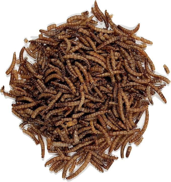 Wagner's 58005 Mealworms Wild Bird Food, 18-Ounce Bag (Pack of 2)