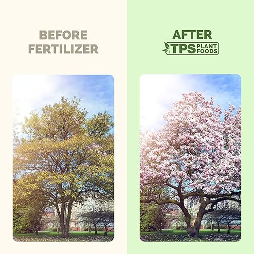 Magnolia Tree Fertilizer – Liquid Plant Food for More Blooms, Rich Green Leaves & Stronger Root Development, 1 Gallon