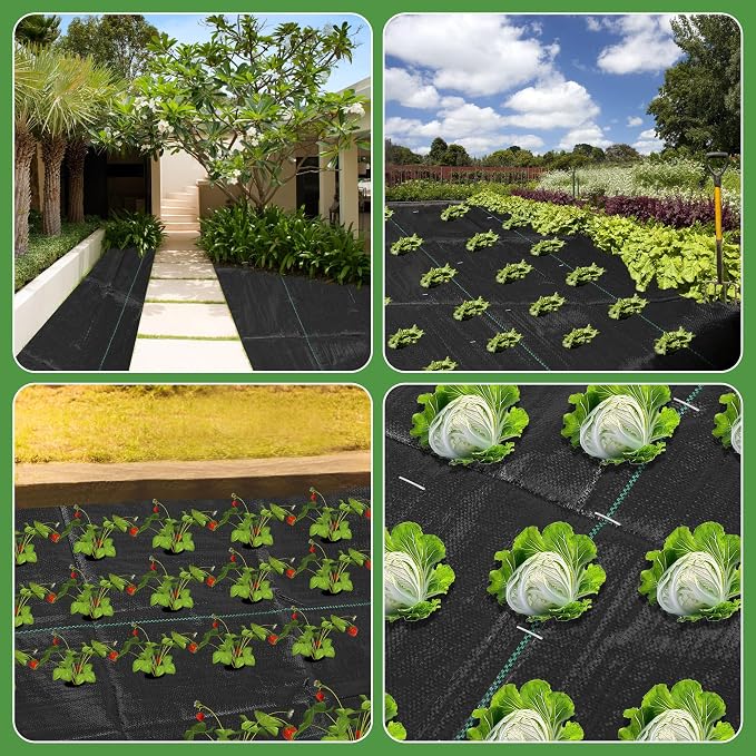 2FT x 50FT Weed Barrier Landscape Fabric Heavy Duty, 3.2oz Premium Gardening Weed Control Mat with 10 U-Shaped Securing Pegs, Ground Cover for Garden Beds, Farming, Underlayment, Commercial Driveway