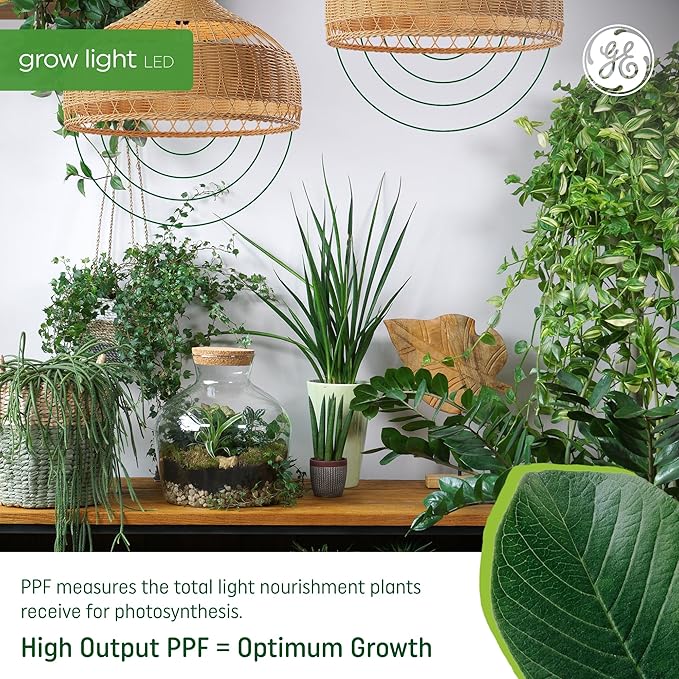 GE Grow LED Light Bulb, PAR38 Flood Light, Indoor LED Grow Lights for Flowers and Fruit, Advanced Red Light Spectrum, 25,000 Hour Lifespan, 50 PPF, 1 Pack (Packaging May Vary)