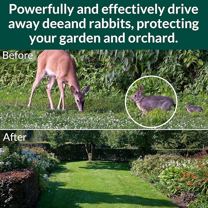 Ponal Deer Repellent 10 Balls, Rabbit Repellent Outdoor for Plants, Natural Deer Deterrent Keep Deer and Rabbit Out of Garden Yard, Powerful Deer Deterrent for Backyard Plant Tree Vegetable Flowers