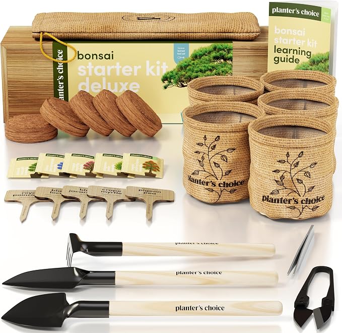Planter's Choice Bonsai Tree Starter Kit - Birthday Gifts for Women, Men, Adults - Indoor Live House Plants - DIY Adults Craft Kits - Unique Hobby Gift Gardening Lovers - Gift Ideas Mom, Her, Friend
